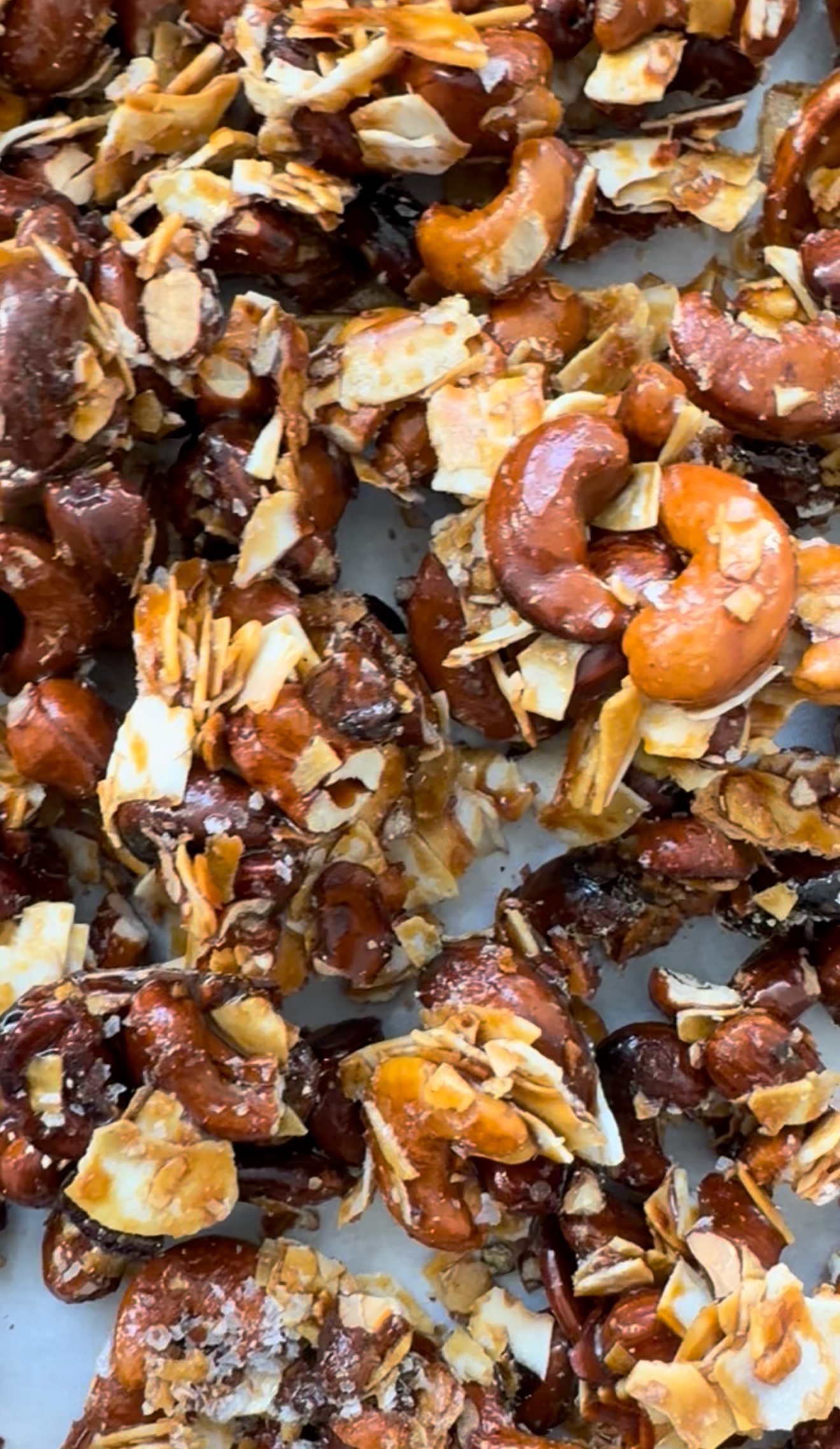 NEW! GO Nuts! Praline Coconut Jar 32oz